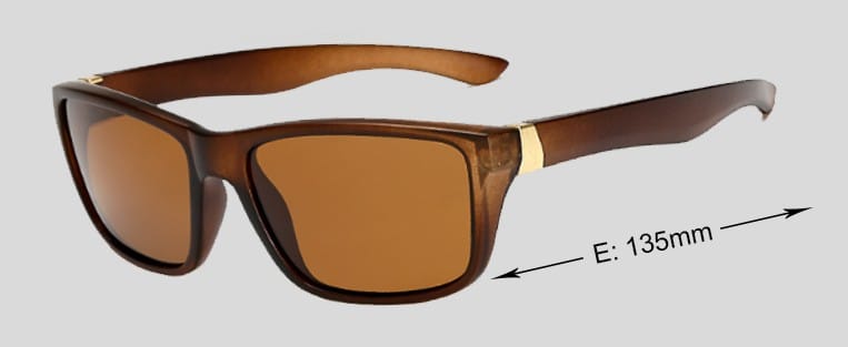 Polarized Sunglass